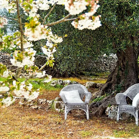Villa Trulli Con Piscina Privata